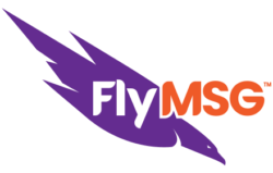 FlyMSG Software logo